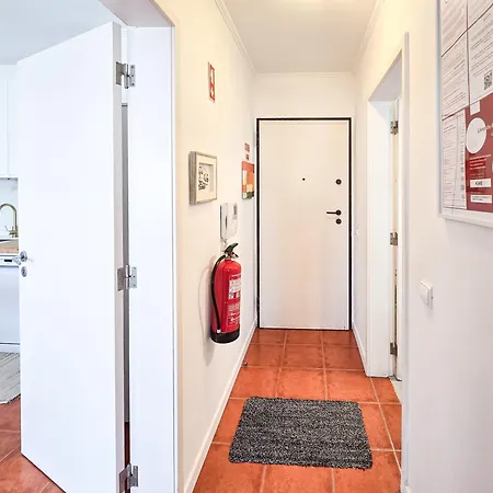 Rocha Varandas Orquidea